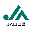 JA山口県