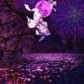 LINE_P202149_122722_2
