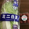 サラダにぴったりなミニ白菜