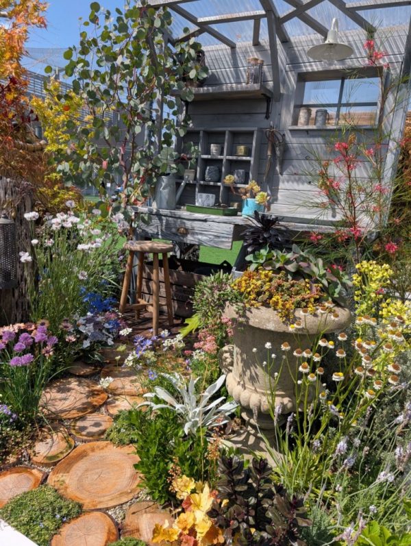 PXL_20250510_053958698