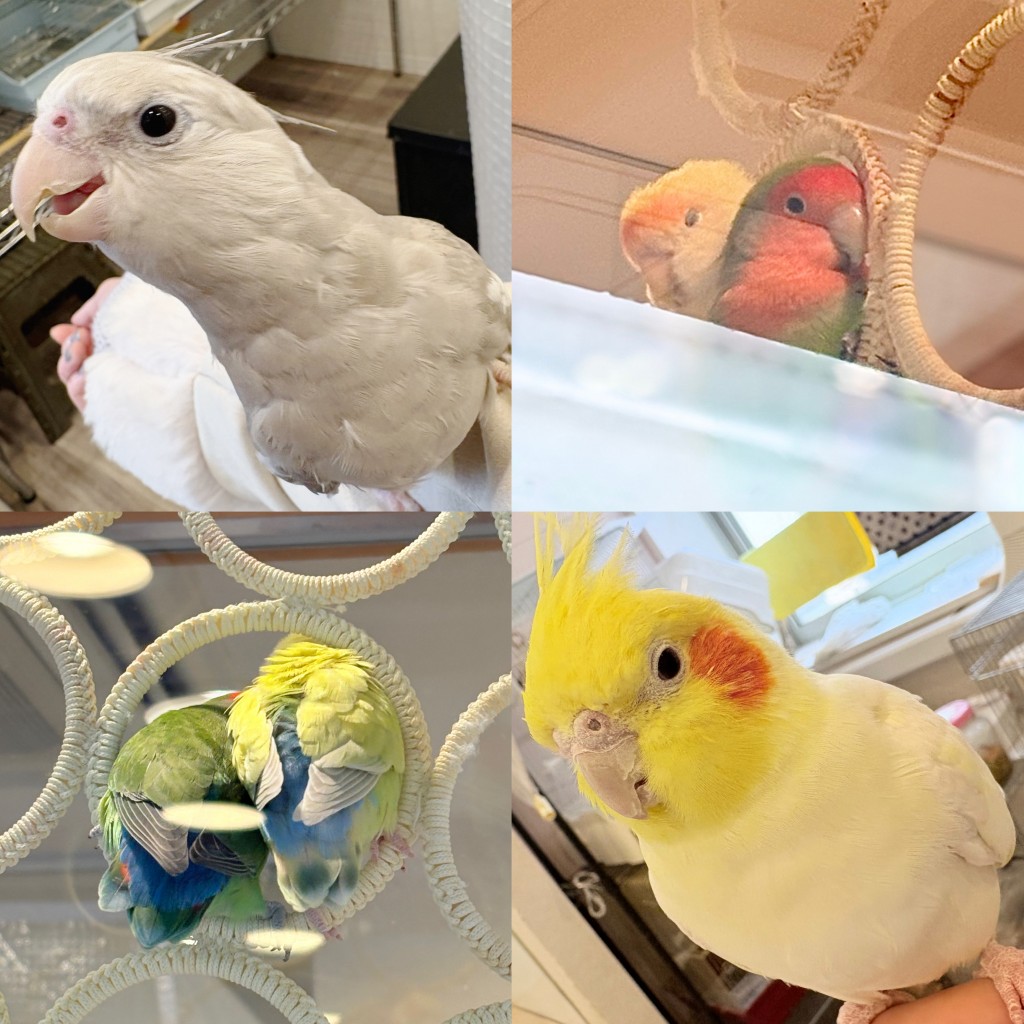 039FD7E7-300B-4335-87CA-69742C7BA7F7